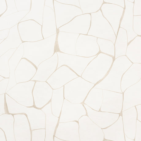 FILIGREE wallpaper in Linen by Porter Teleo for Schumacher, abstract painterly pattern in neutral tones, shown in modern interiors.