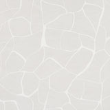 Filigree Stone by Porter Teleo for Schumacher – Abstract painterly wallcovering in soft stone color, modern organic pattern.