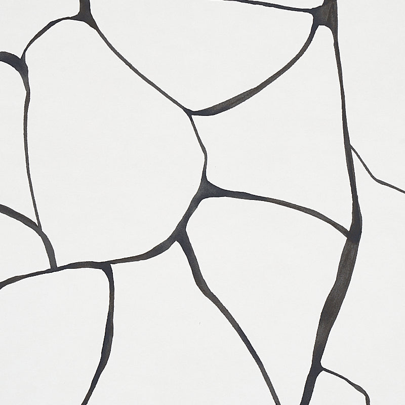FILIGREE Black and White by Porter Teleo Abstract Modern Wallpaper – Schumacher 5009704
