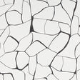 FILIGREE by Porter Teleo for Schumacher. Abstract black and white modern wallpaper with painterly, organic lines.