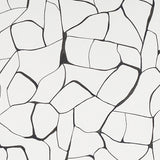 FILIGREE by Porter Teleo for Schumacher. Abstract black and white modern wallpaper with painterly, organic lines.