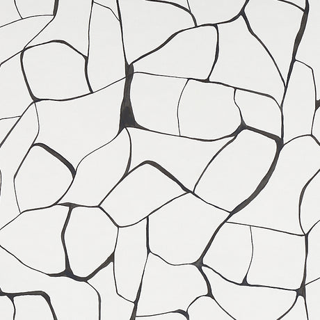 FILIGREE by Porter Teleo for Schumacher. Abstract black and white modern wallpaper with painterly, organic lines.