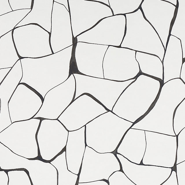 FILIGREE by Porter Teleo for Schumacher. Abstract black and white modern wallpaper with painterly, organic lines.