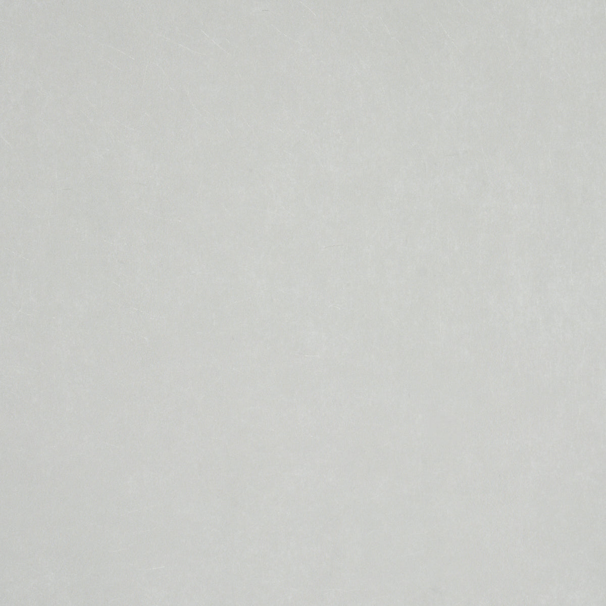 Villa Texture by Miles Redd in Grey - Schumacher wallcovering sample image
