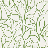 Solandra Vine Leaf wallpaper by Schumacher in green and white, featuring a loose, leafy botanical pattern.