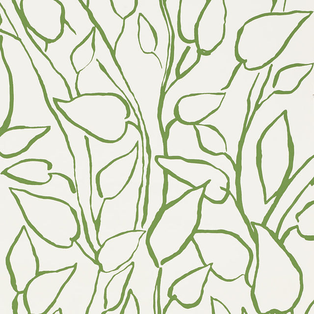 Solandra Vine Leaf wallpaper by Schumacher in green and white, featuring a loose, leafy botanical pattern.