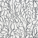 Solandra Vine wallpaper in black and white, featuring a loose, leafy climbing botanical pattern by Schumacher.