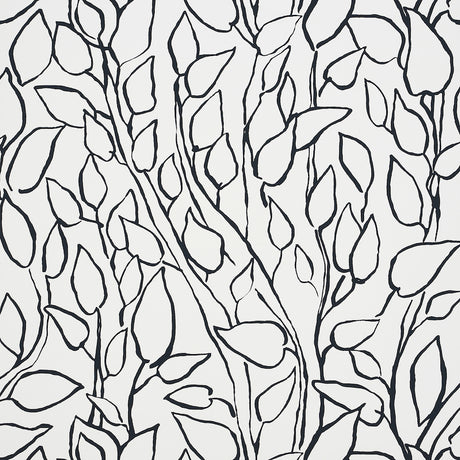 Solandra Vine wallpaper in black and white, featuring a loose, leafy climbing botanical pattern by Schumacher.
