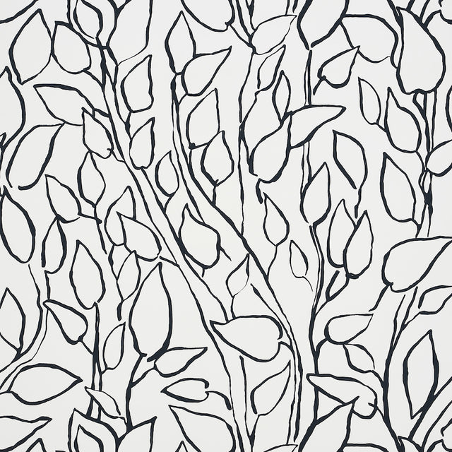 Solandra Vine wallpaper in black and white, featuring a loose, leafy climbing botanical pattern by Schumacher.