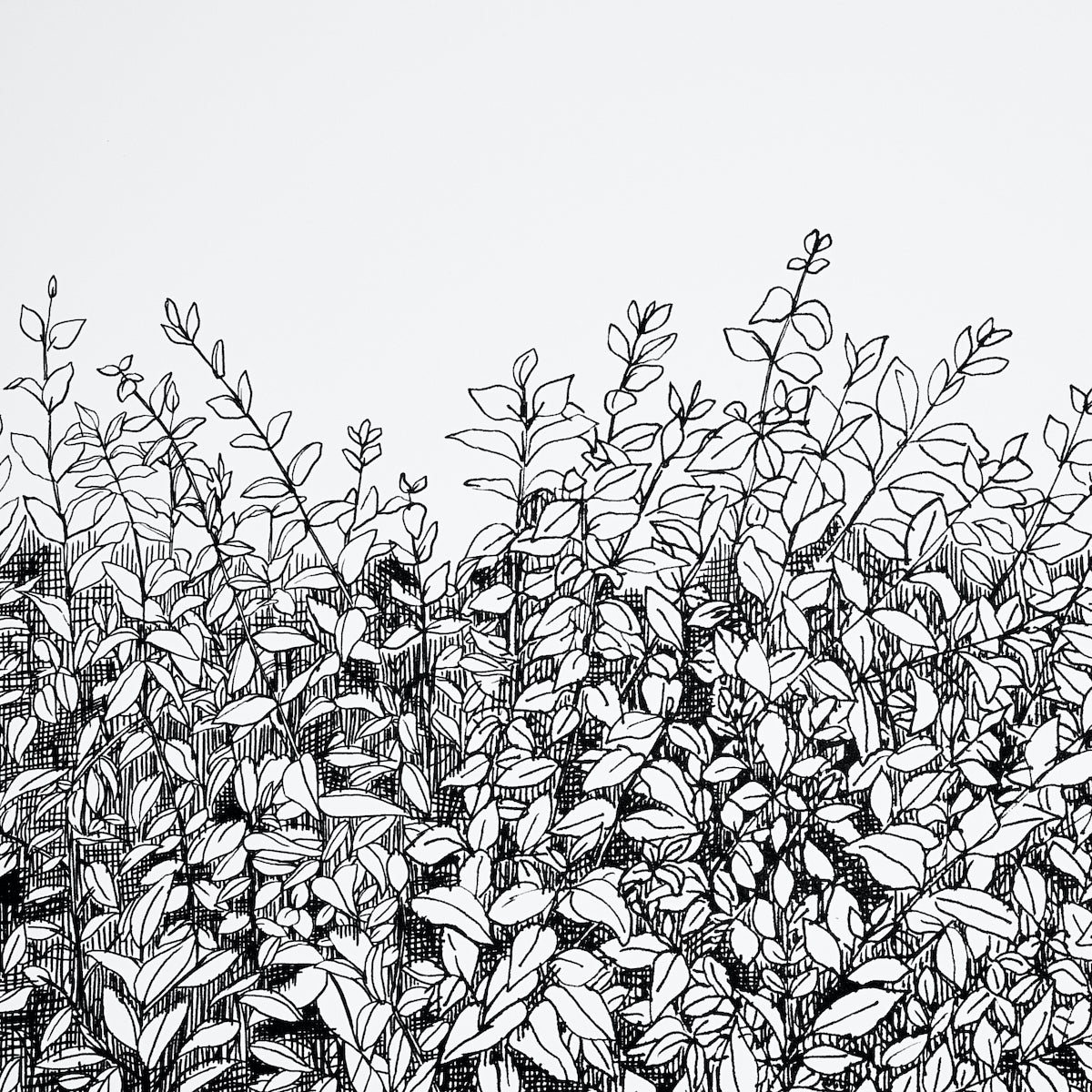 Greenery Galore Vinyl Panel Black by Schumacher Botanical Wallcovering – Schumacher 5010130