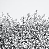 Greenery Galore Vinyl Panel Black by Schumacher Botanical Wallcovering – Schumacher 5010130