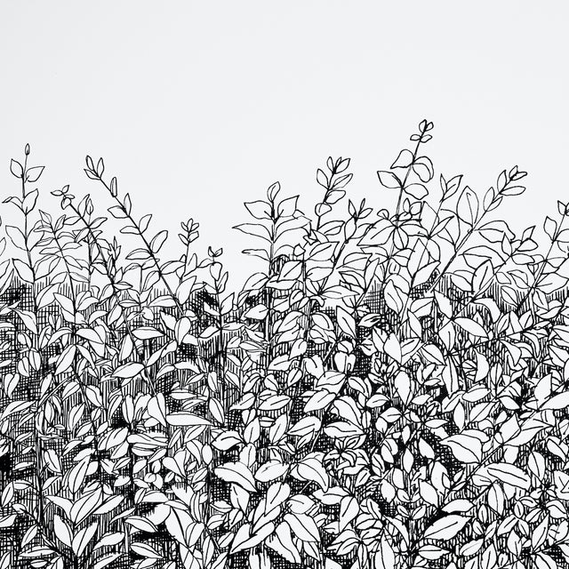 Greenery Galore Vinyl Panel Black by Schumacher Botanical Wallcovering – Schumacher 5010130