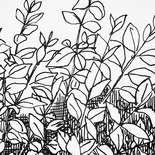 Greenery Galore Vinyl Panel Black by Schumacher Botanical Wallcovering – Schumacher 5010130