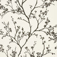 Twiggy Vinyl wallpaper in Black on Ivory by Schumacher, featuring delicate flowering branches silhouetted against a linen-like textured vinyl background.