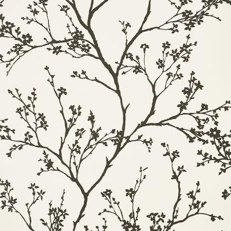Twiggy Vinyl wallpaper in Black on Ivory by Schumacher, featuring delicate flowering branches silhouetted against a linen-like textured vinyl background.