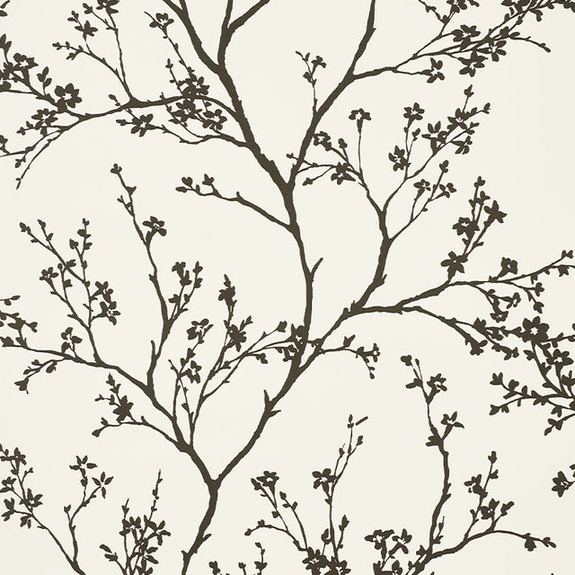 Twiggy Vinyl wallpaper in Black on Ivory by Schumacher, featuring delicate flowering branches silhouetted against a linen-like textured vinyl background.