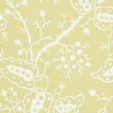Darby Buttercup Botanical Wallpaper – Schumacher 5010182