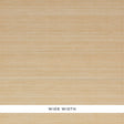 Silk Strie parchment textured wallcovering by Schumacher in a neutral beige colorway with subtle horizontal striations.