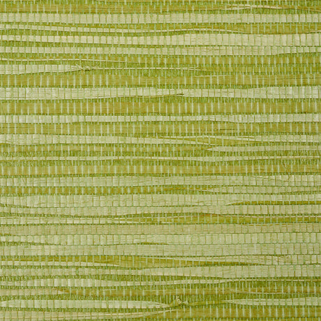 Dyed Raffia Leaf green textured wallcovering by Schumacher, woven raffia fibers with irregular stripe effect.