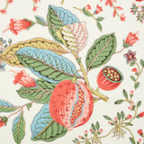 POMEGRANATE BOTANICAL Document by Schumacher Botanical Wallpaper – Schumacher 5010441