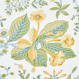 POMEGRANATE BOTANICAL Citron Botanical Wallpaper – Schumacher 5010442