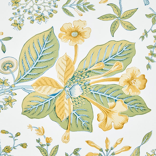 POMEGRANATE BOTANICAL Citron Botanical Wallpaper – Schumacher 5010442