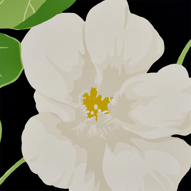 Nasturtium Noir Floral Wallpaper by Schumacher – Signature Schumacher Collection 5010470