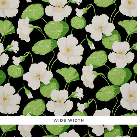 Nasturtium Noir floral wallpaper with large white flowers and green leaves on a black background by Schumacher