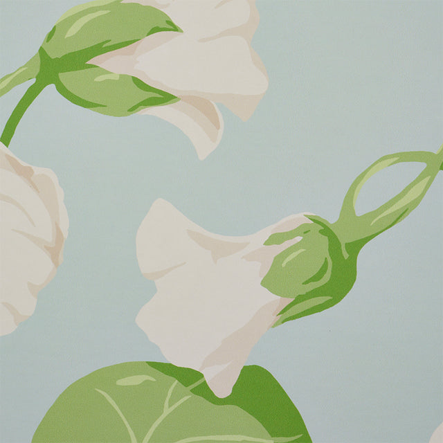 Nasturtium Sky by Schumacher Large Scale Floral Wallpaper – Schumacher 5010471