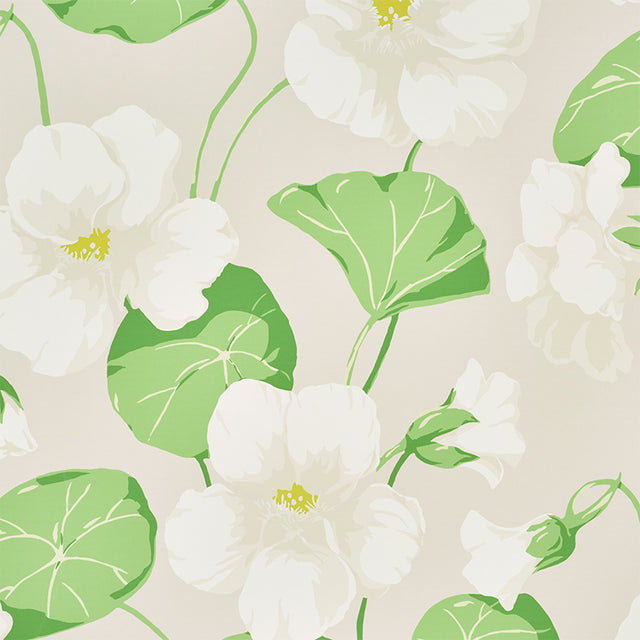 Nasturtium Stone by Schumacher Large Scale Floral Wallpaper – Schumacher 5010472
