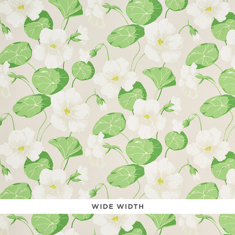 Nasturtium Stone by Schumacher - Large scale white and green floral wallpaper on a neutral background