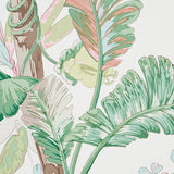 Tropique Blush by Schumacher Painterly Tropical Botanical Wallpaper – Schumacher 5010481