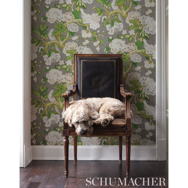 Bermuda Blossoms Slate by Schumacher Wide Width Floral Wallpaper – 5010521