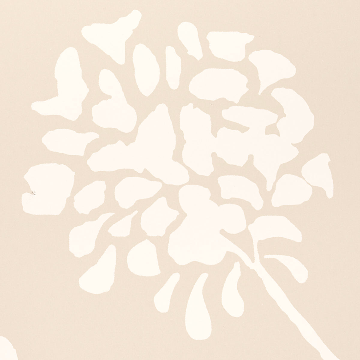 Pennick Neutral Floral Wallpaper by Schumacher – Moon River Collection 5010541