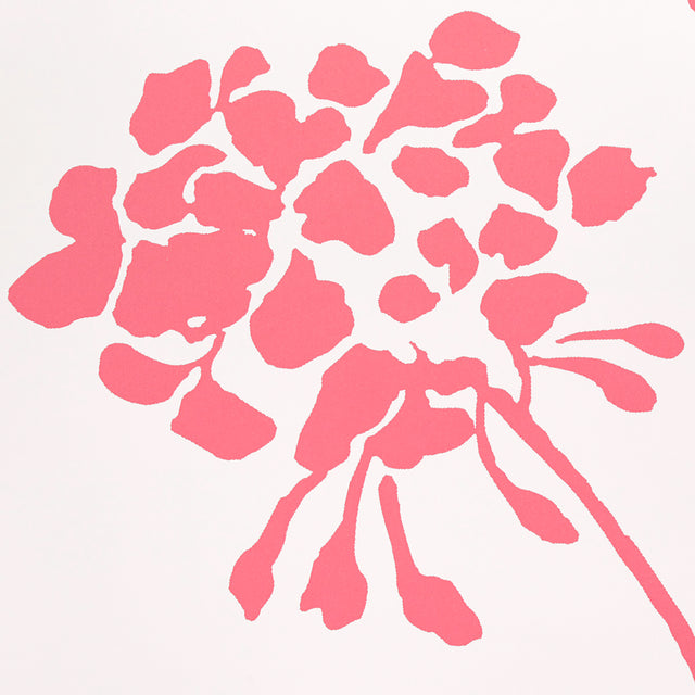 Pennick Coral on Ivory by Schumacher Painterly Floral Wallpaper – Schumacher 5010543