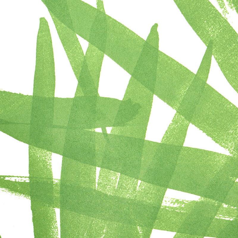 Sunlit Palm Green by Schumacher Tropical Palm Leaf Wallpaper – Schumacher 5010560