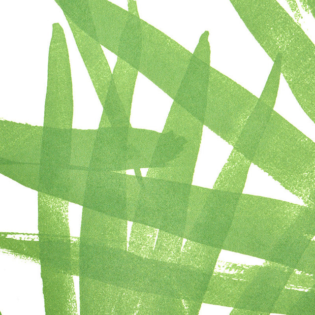 Sunlit Palm Green by Schumacher Tropical Palm Leaf Wallpaper – Schumacher 5010560