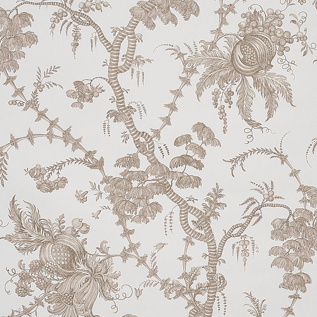 San Cristobal Toile wallpaper in cocoa by Schumacher, featuring intricate 18th-century inspired botanical and pomegranate illustrations.