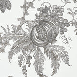 San Cristobal Toile Black by Schumacher 18th-Century Botanical Wallpaper – Schumacher 5010622