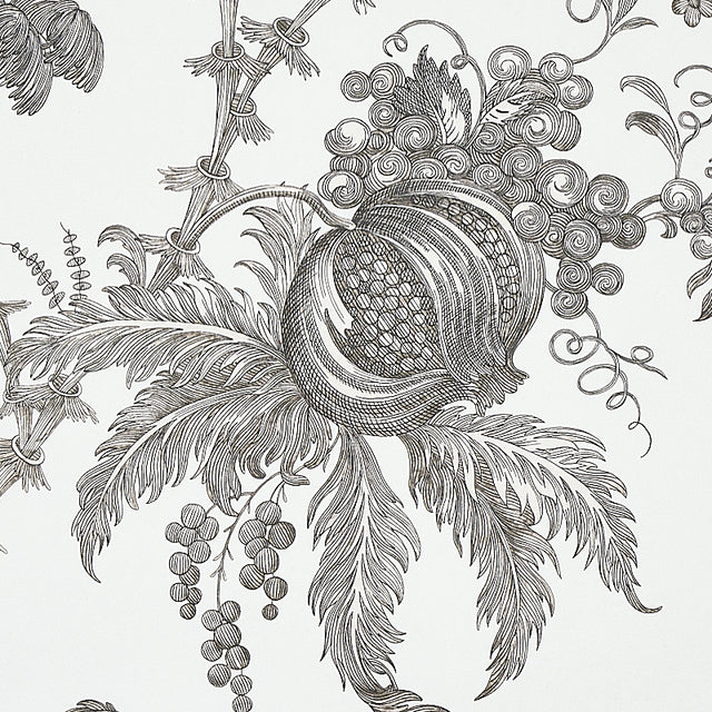 San Cristobal Toile Black by Schumacher 18th-Century Botanical Wallpaper – Schumacher 5010622