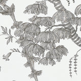 San Cristobal Toile Black by Schumacher 18th-Century Botanical Wallpaper – Schumacher 5010622