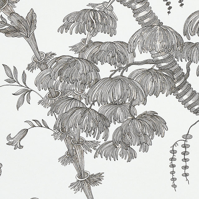 San Cristobal Toile Black by Schumacher 18th-Century Botanical Wallpaper – Schumacher 5010622