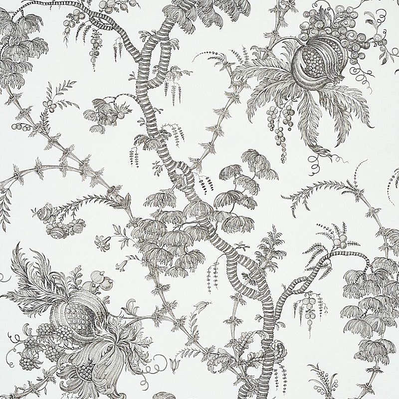San Cristobal Toile wallpaper in black by Schumacher, featuring intricate 18th-century inspired botanical and pomegranate illustrations.