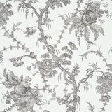 San Cristobal Toile wallpaper in black by Schumacher, featuring intricate 18th-century inspired botanical and pomegranate illustrations.