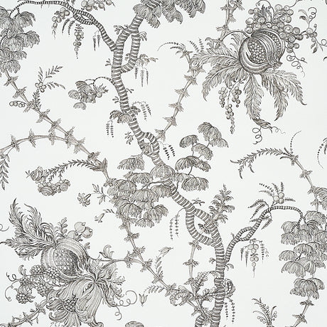 San Cristobal Toile wallpaper in black by Schumacher, featuring intricate 18th-century inspired botanical and pomegranate illustrations.