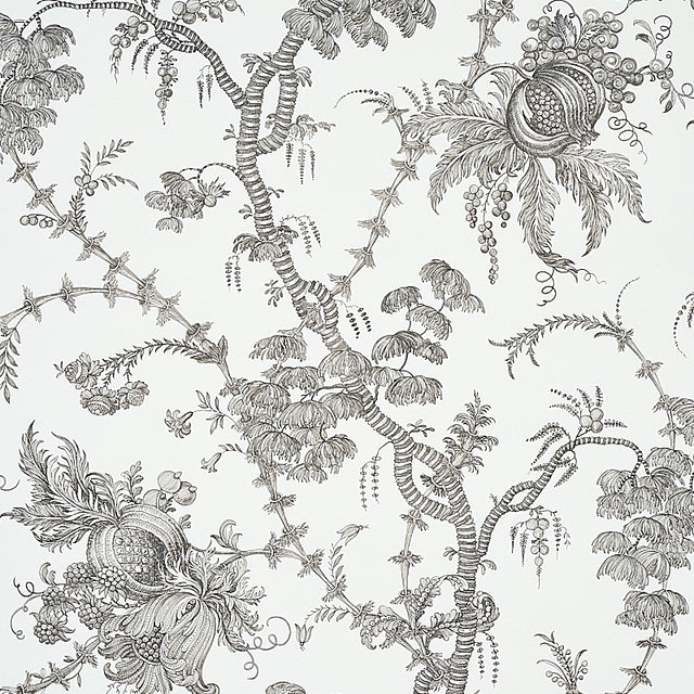 San Cristobal Toile wallpaper in black by Schumacher, featuring intricate 18th-century inspired botanical and pomegranate illustrations.