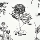 Cabot Botanical Large Ivory by Schumacher Botanical Wallpaper – Schumacher 5010640