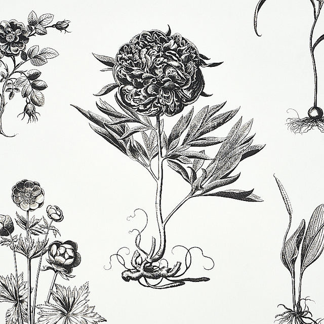 Cabot Botanical Large Ivory by Schumacher Botanical Wallpaper – Schumacher 5010640
