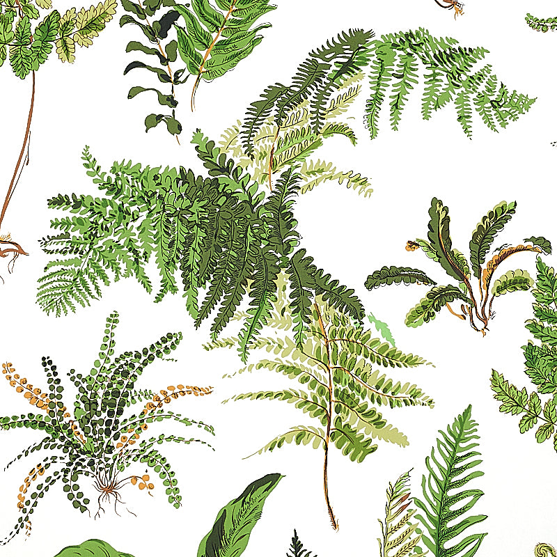 LES FOUGERES Botanical Fern Wallpaper in Document by Schumacher – 5010660