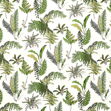 LES FOUGERES wallpaper by Schumacher featuring a classic botanical fern pattern in green and document colorway.